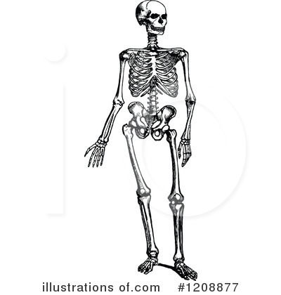 Royalty-Free (RF) Skeleton Clipart Illustration by Prawny Vintage - Stock Sample #1208877