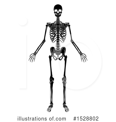 Royalty-Free (RF) Skeleton Clipart Illustration by AtStockIllustration - Stock Sample #1528802