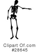 Skeleton Clipart #28645 by KJ Pargeter
