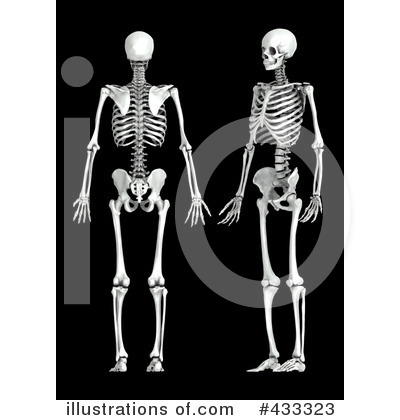 Royalty-Free (RF) Skeleton Clipart Illustration by Mopic - Stock Sample #433323