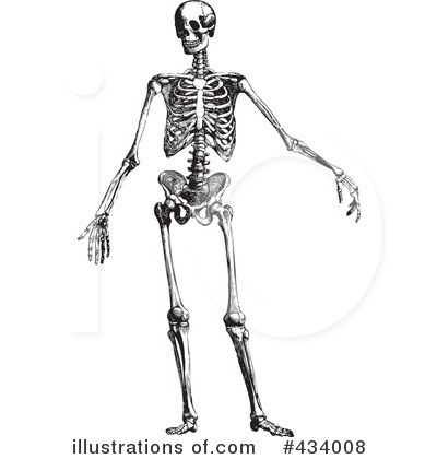 Royalty-Free (RF) Skeleton Clipart Illustration by BestVector - Stock Sample #434008