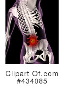 Skeleton Clipart #434085 by KJ Pargeter