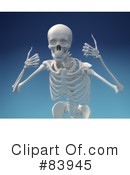 Skeleton Clipart #83945 by Mopic