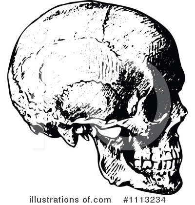 Skull Clipart #1113234 by Prawny Vintage