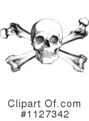 Skull Clipart #1127342 by BestVector