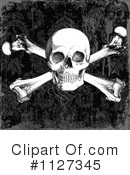 Skull Clipart #1127345 by BestVector