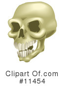 Skull Clipart #11454 by AtStockIllustration