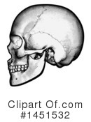 Skull Clipart #1451532 by AtStockIllustration