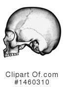Skull Clipart #1460310 by AtStockIllustration