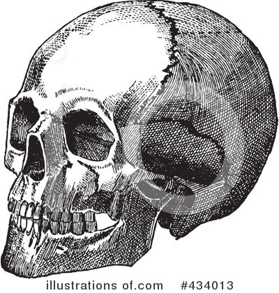 Royalty-Free (RF) Skull Clipart Illustration by BestVector - Stock Sample #434013