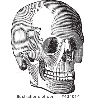Royalty-Free (RF) Skull Clipart Illustration by BestVector - Stock Sample #434014