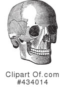Skull Clipart #434014 by BestVector