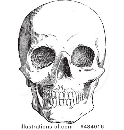 Royalty-Free (RF) Skull Clipart Illustration by BestVector - Stock Sample #434016