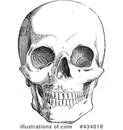 Royalty-Free (RF) Skull Clipart Illustration by BestVector - Stock Sample #434018