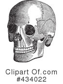Skull Clipart #434022 by BestVector