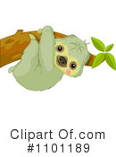 Sloth Clipart #1101189 by Pushkin