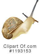 Snail Clipart #1193153 by dero