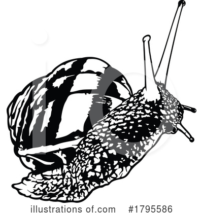 Royalty-Free (RF) Snail Clipart Illustration by dero - Stock Sample #1795586