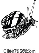 Snail Clipart #1795586 by dero