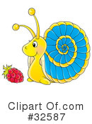 Snail Clipart #32587 by Alex Bannykh