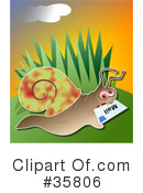 Snail Clipart #35806 by Prawny