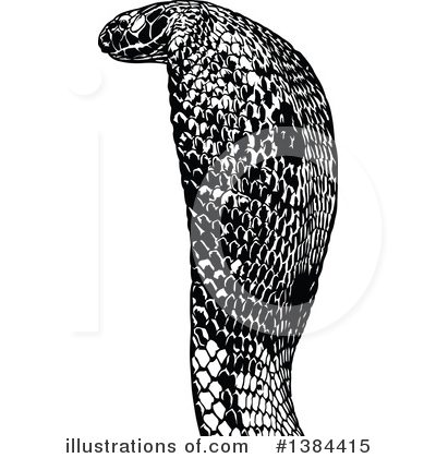 Cobra Snake Clipart #1384415 by dero