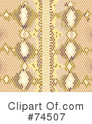Snake Skin Clipart #74507 by Monica