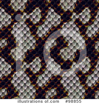 Snake Skin Clipart #98855 by Arena Creative