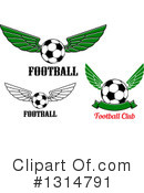 Soccer Clipart #1314791 by Vector Tradition SM