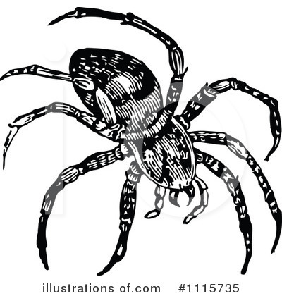 Royalty-Free (RF) Spider Clipart Illustration by Prawny Vintage - Stock Sample #1115735