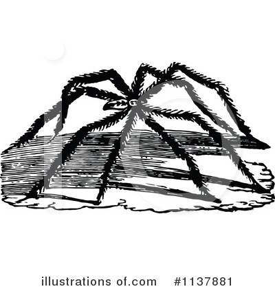 Royalty-Free (RF) Spider Clipart Illustration by Prawny Vintage - Stock Sample #1137881