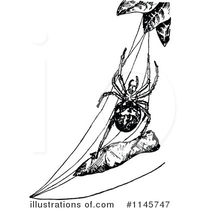 Royalty-Free (RF) Spider Clipart Illustration by Prawny Vintage - Stock Sample #1145747
