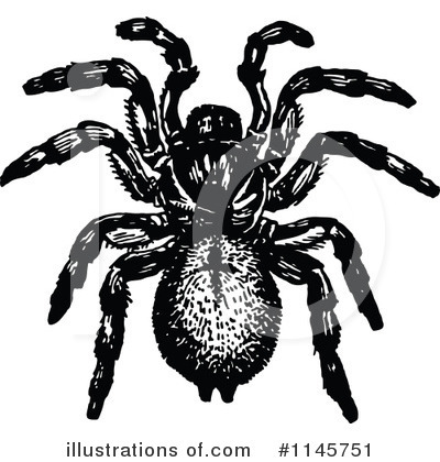 Royalty-Free (RF) Spider Clipart Illustration by Prawny Vintage - Stock Sample #1145751