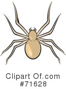 Spider Clipart #71628 by Lal Perera