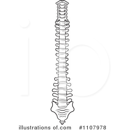 Royalty-Free (RF) Spine Clipart Illustration by Lal Perera - Stock Sample #1107978