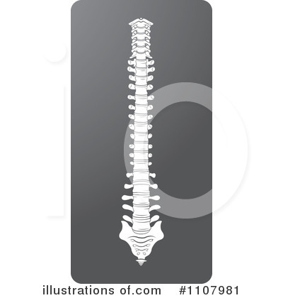 Royalty-Free (RF) Spine Clipart Illustration by Lal Perera - Stock Sample #1107981