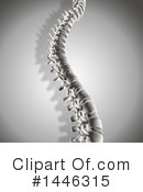 Spine Clipart #1446315 by KJ Pargeter