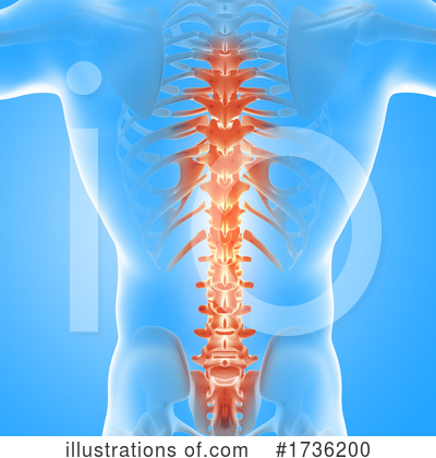 Spine Clipart #1736200 by KJ Pargeter