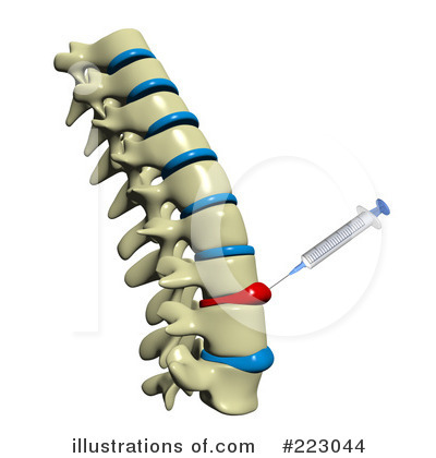 Spine Clipart #223044 by Michael Schmeling