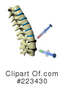 Spine Clipart #223430 by Michael Schmeling