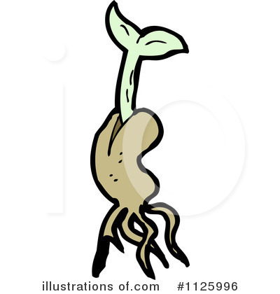 Plant Clipart #1125996 by lineartestpilot