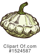 Squash Clipart #1524587 by Vector Tradition SM