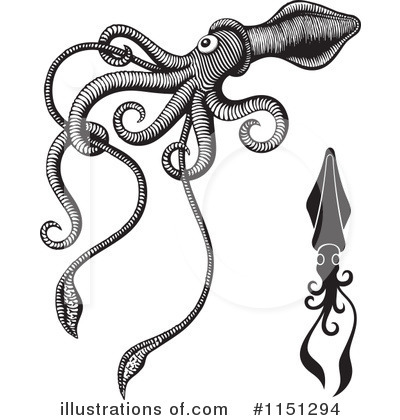 Royalty-Free (RF) Squid Clipart Illustration by Any Vector - Stock Sample #1151294