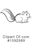 Squirrel Clipart #1092989 by Lal Perera