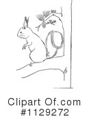 Squirrel Clipart #1129272 by Picsburg
