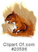 Squirrel Clipart #20596 by Tonis Pan