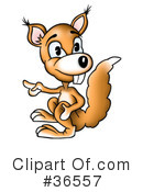 Squirrel Clipart #36557 by dero