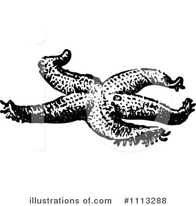 Royalty-Free (RF) Starfish Clipart Illustration by Prawny Vintage - Stock Sample #1113288