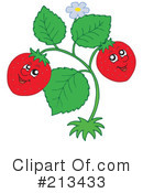 Strawberry Clipart #213433 by visekart