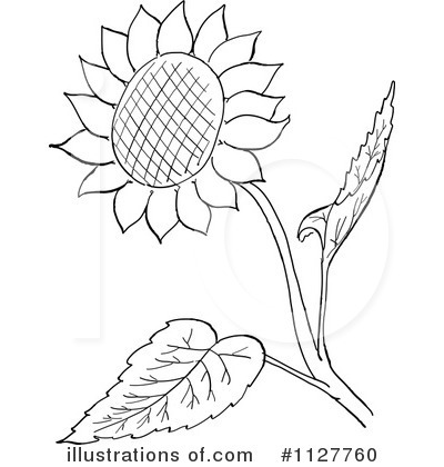 Royalty-Free (RF) Sunflower Clipart Illustration by Picsburg - Stock Sample #1127760